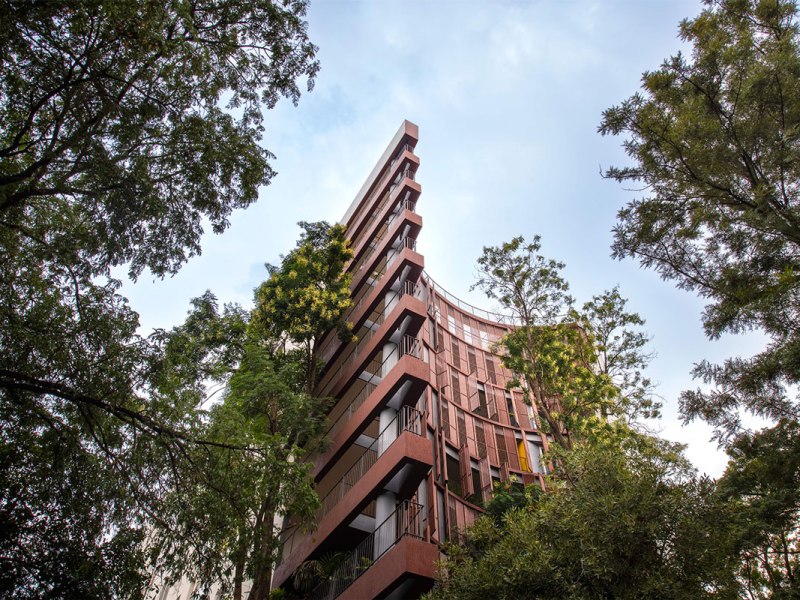 Homes around the&nbsp;Trees